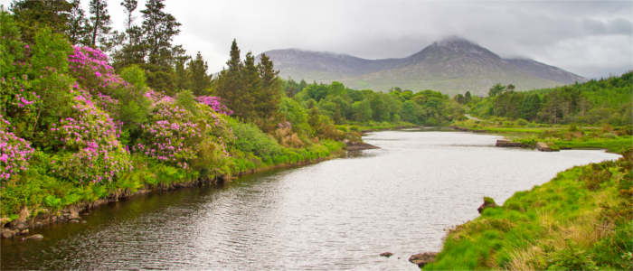 Connemara Berge in Irland
