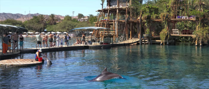 Delfinpark in Israel - Eilat