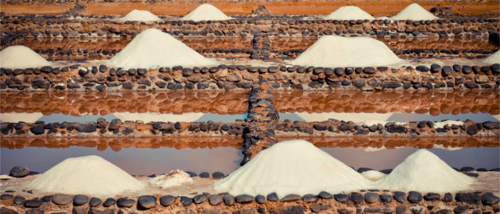 Salzgewinnung auf Fuerteventura